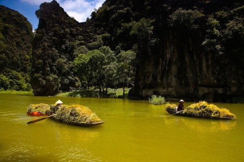 Tam Coc-Bich Dong’s charming scenery - ảnh 3